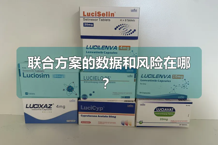 联合方案的数据和风险在哪？